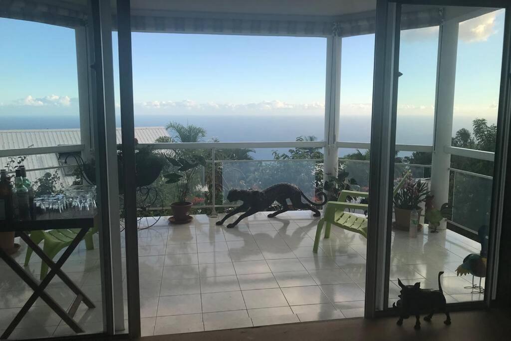 St Leu -Villa D'Artiste, Superbe Vue Mer, Piscine Chauffee سان لوي المظهر الخارجي الصورة